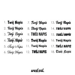 Naklejka na auto szybę Naklejka Napis na Zamówienie na Przednią Szybę , Naklejki na samochód