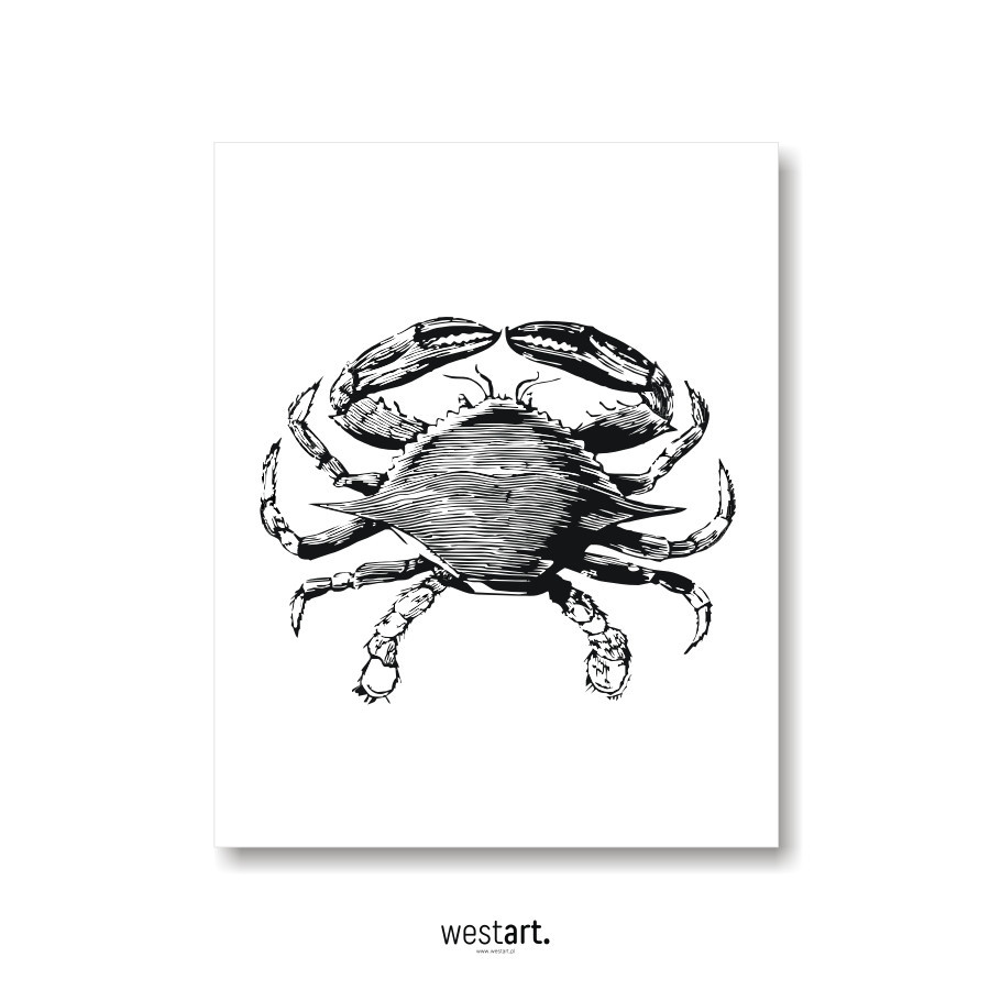 Plakat typograiczny Krab, Plakaty dekoracyjne, Typografie