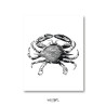 Plakat typograiczny Krab, Plakaty dekoracyjne, Typografie